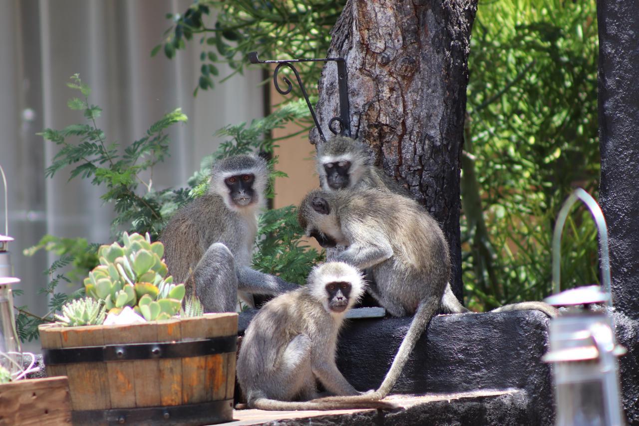 African Rock Lodge Hoedspruit Buitenkant foto